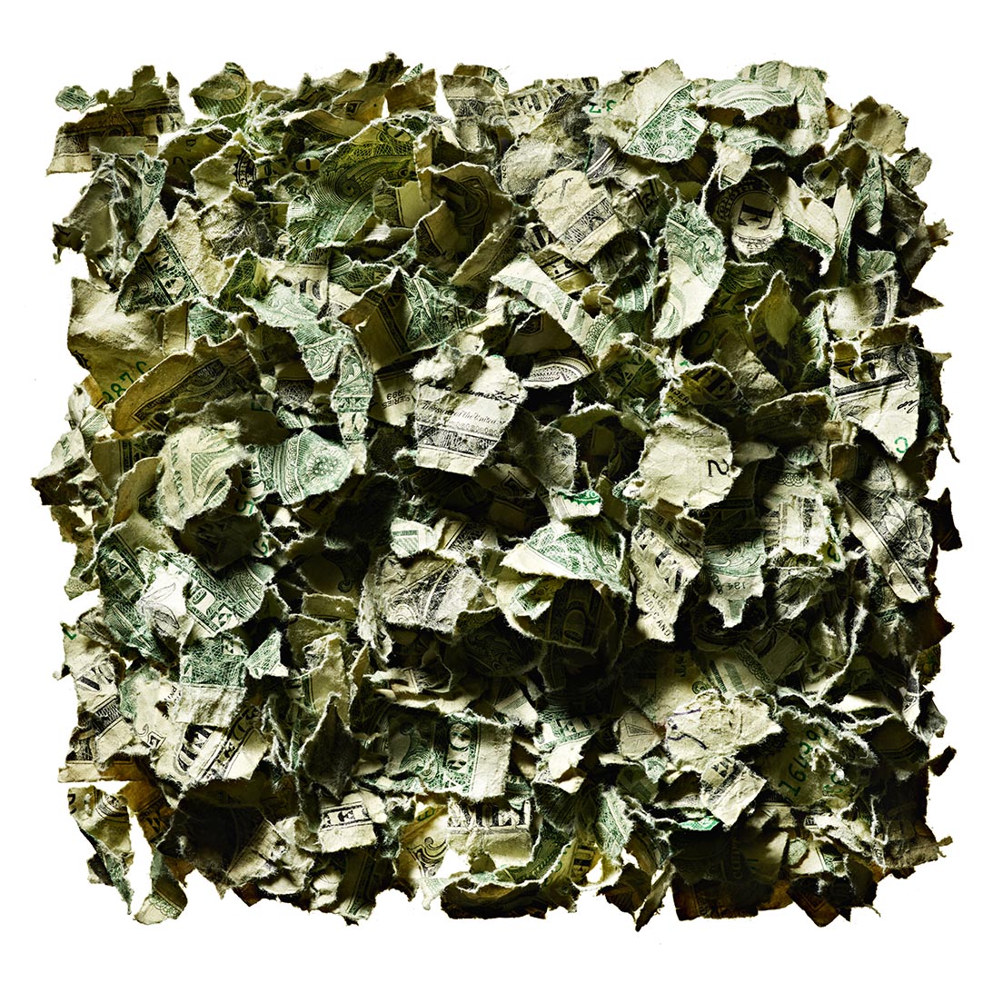 BLENDER_DOLLARS