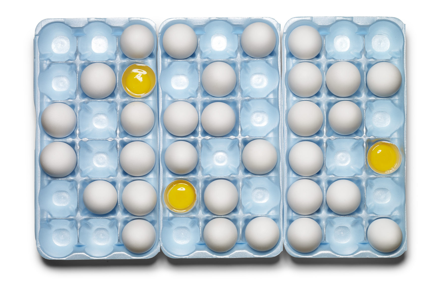 LEVI_BROWN_EGGS_CARTON.jpg
